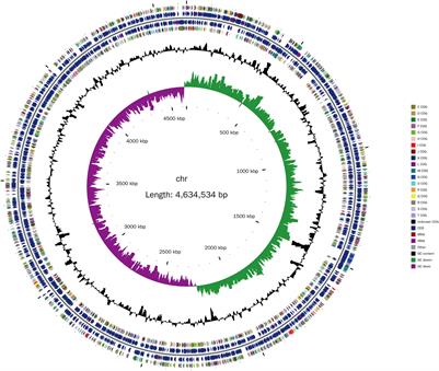 The LuxS/AI-2 Quorum-Sensing System Regulates the Algicidal Activity of Shewanella xiamenensis Lzh-2